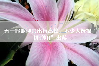 五一假期迎來出行高峰，不少人選擇“拼4休11”出游